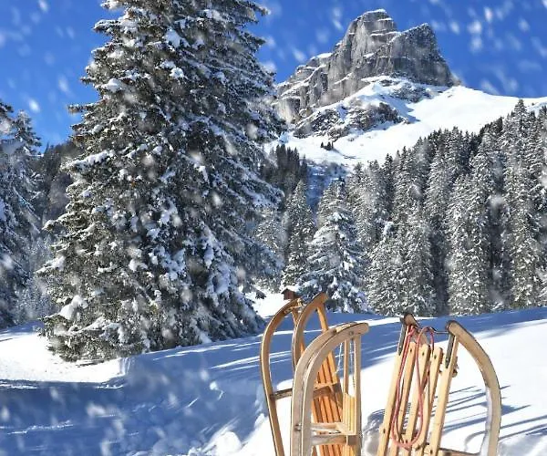 Apartment Allod Park Haus B 202 By Interhome Davos